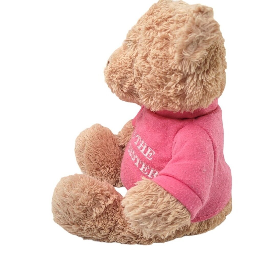 GUND Big Sister Bear 12" Pink T-shirt Tan Fur New Baby Plush Stuffed Animal - Picture 5 of 8